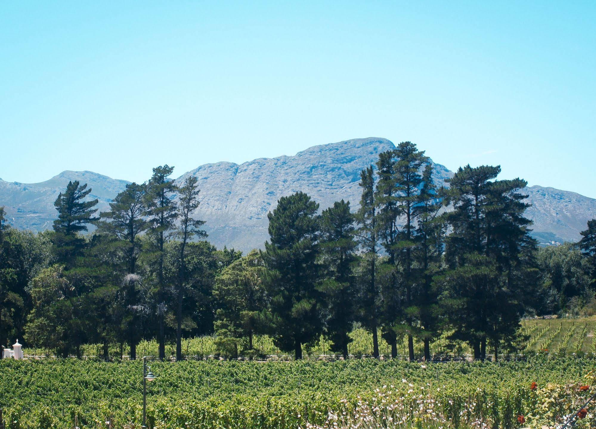 Hostal Rickety Bridge Manor House Franschhoek Exterior foto